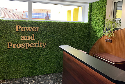 Text z plastu na pozadí z machu